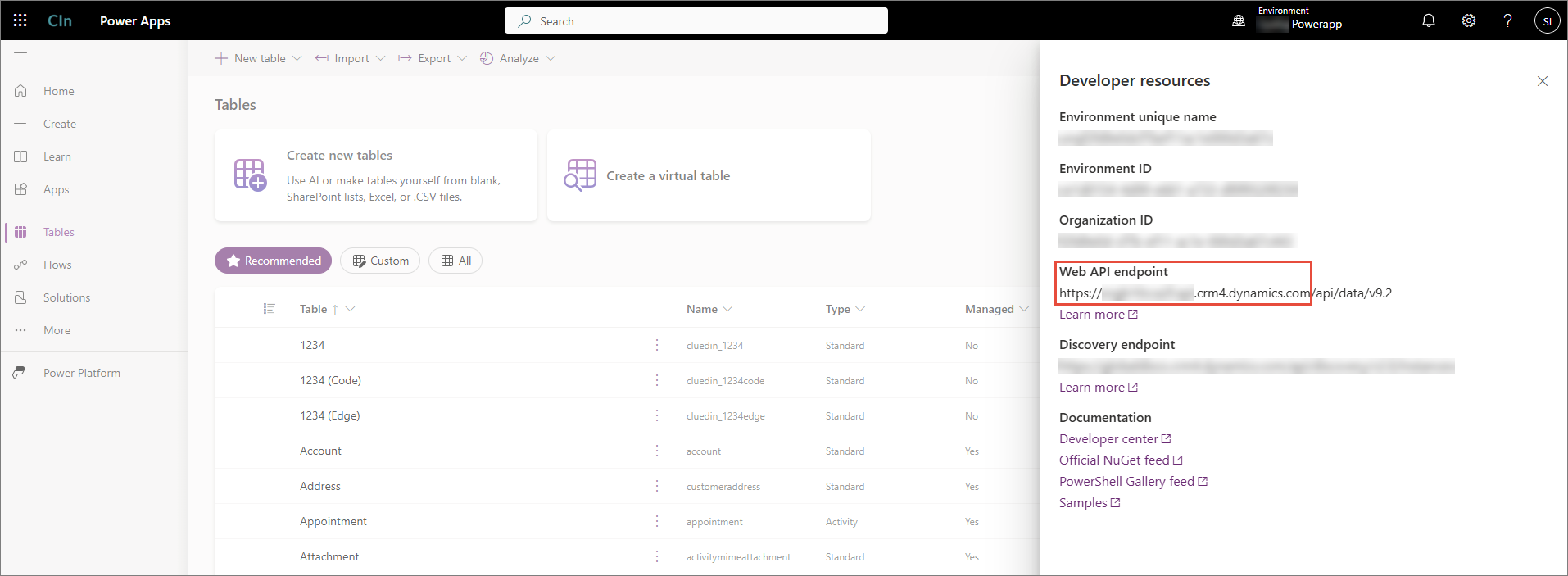 Power Apps Developer resources pane with the Web API endpoint value highlighted