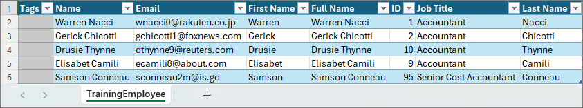 Golden records loaded into a worksheet named TrainingEmployee, with a column for each selected vocabulary key